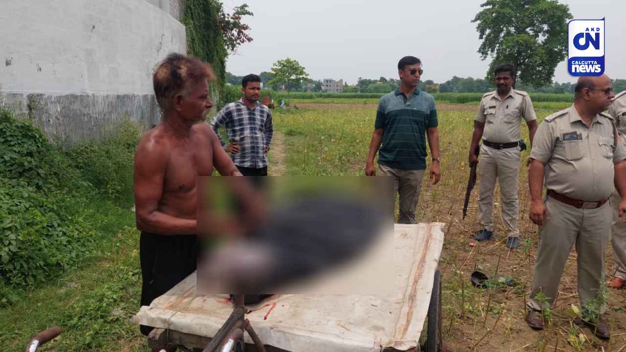 কৃষ্ণনগরে পাট ক্ষেতে উদ্ধার মৃতদেহ! তদন্তে কোতোয়ালি থানা